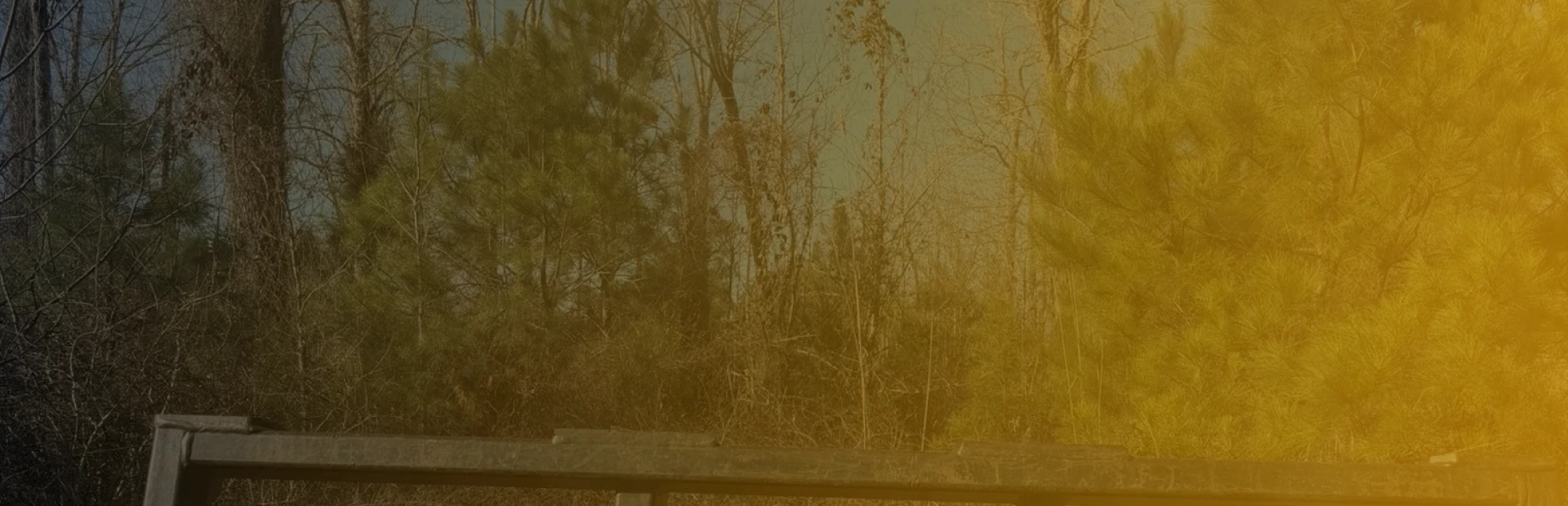 Forestry Mulching services breadcrumb