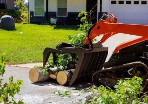 Storm Cleanup & Debris Removal services