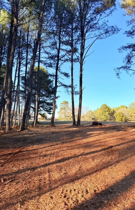 about Reliable Excavation Company in Hamilton, MS