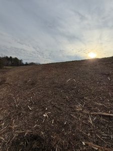 land clearing
