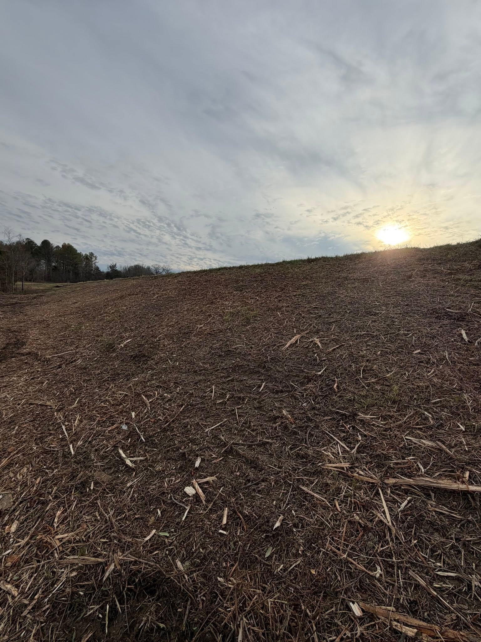 land clearing