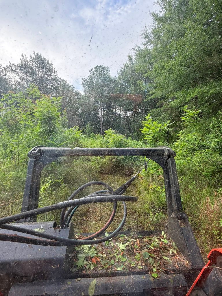 storm debris cleanup & removal