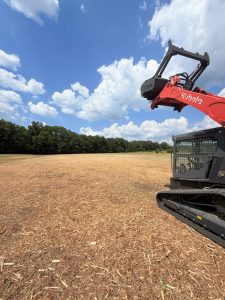 forestry mulching